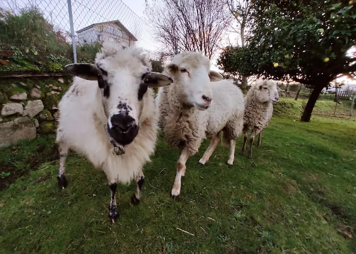 Hébergement de vacances Area Con Piscina *